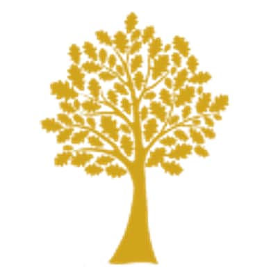 ANGLO NURSES PTE. LTD. logo