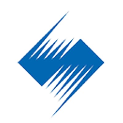 DIAMOND AGENCY PRIVATE LIMITED logo