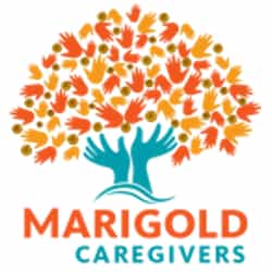 MARIGOLD TIMES PTE. LTD. logo