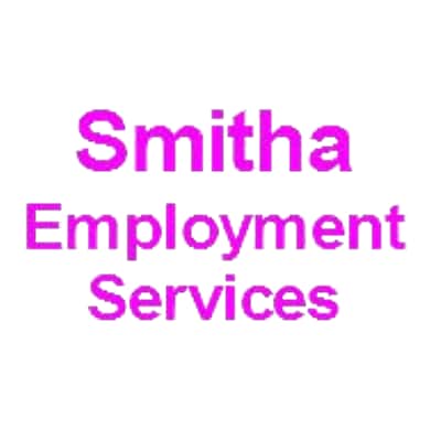 SES EMPLOYMENT PTE. LTD. logo